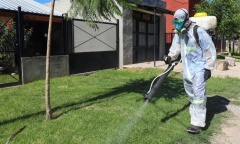 Dengue: desciende el ritmo de contagios en Pilar y en la Provincia