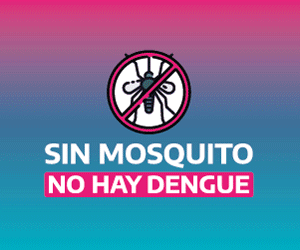 Provincia Dengue