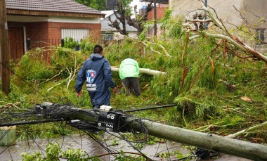Temporal: 100 viviendas dañadas y casi 1.500 árboles caídos en Pilar