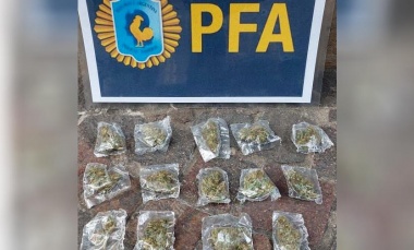 Detenido por vender drogas en el festival Lollapalooza