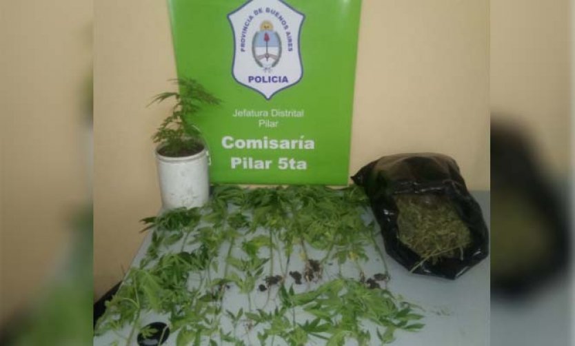 Denunció a su pareja por violencia, pero la detuvieron por plantar marihuana