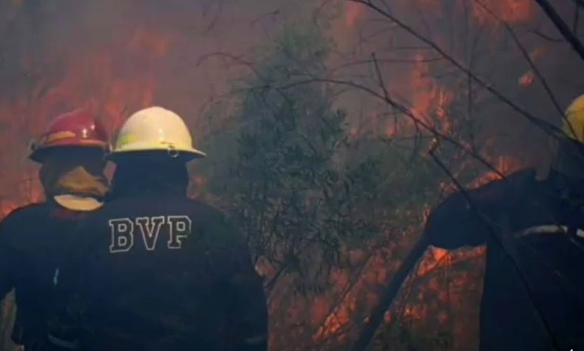 Incendios forestales: Bomberos piden colaboración de los vecinos para evitar nuevos focos
