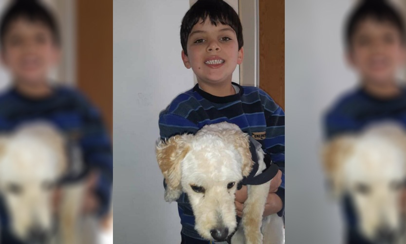 Nene de 5 años pide que le devuelvan el perro que le robaron