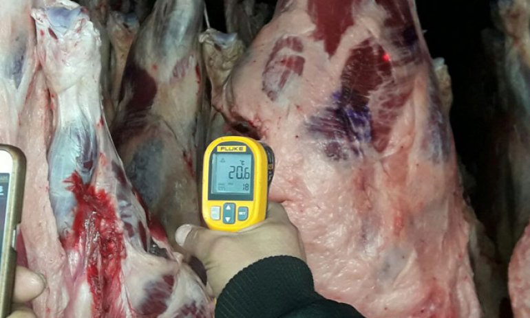 Juzgado de Faltas presentó una denuncia penal porque se liberó carne que estaba decomisada
