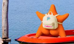 La Provincia suma un Chatbot para planificar las vacaciones