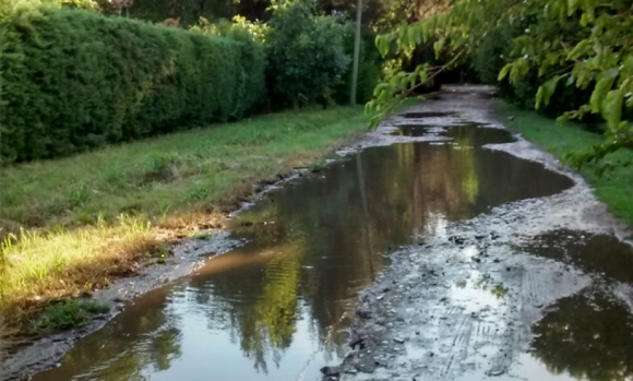 Reclaman arreglo de calles y recolección de podas en Del Viso