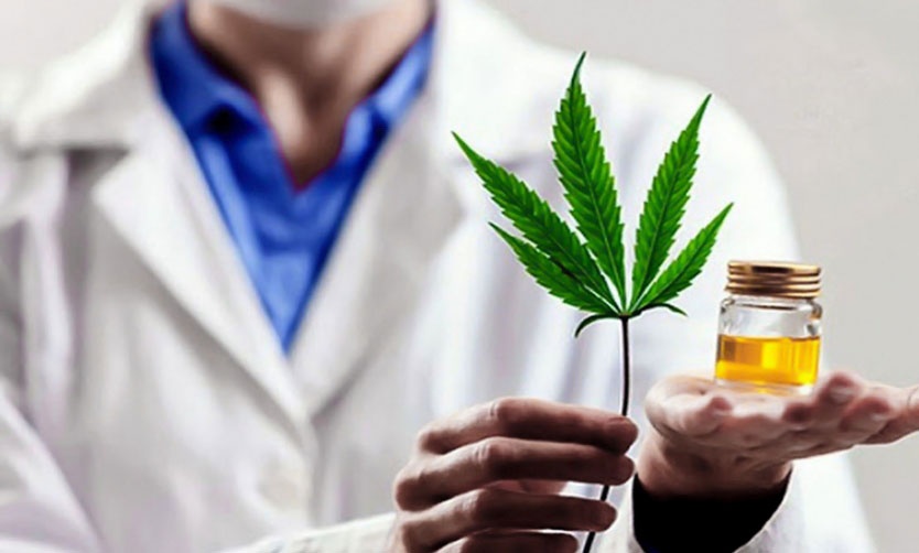 Diputados evalúan los alcances del proyecto regulatorio del cannabis medicinal