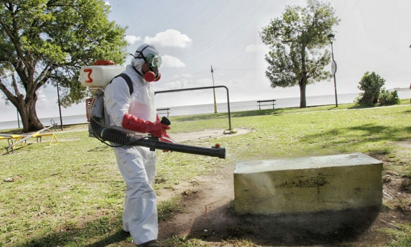 Dengue: ya se registraron casi 6.000 casos en la provincia