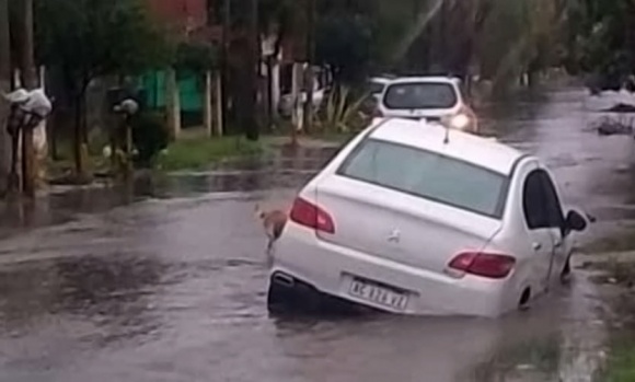 Cortes de luz, calles anegadas y caída de árboles, lo que dejó el temporal en Pilar