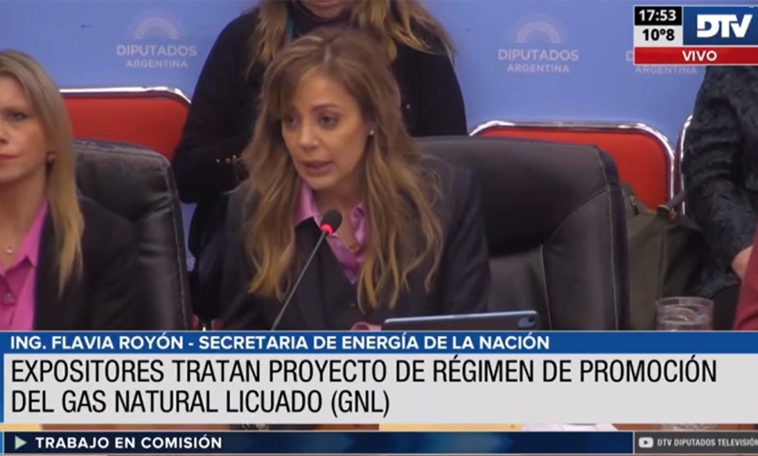 Royon sostuvo que el proyecto de Gas Natural licuado “cambiaría la realidad productiva y económica de Argentina