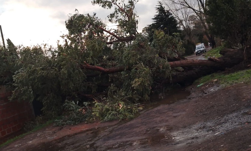 Tormenta en Pilar: en un día llovió más que todo el promedio del mes