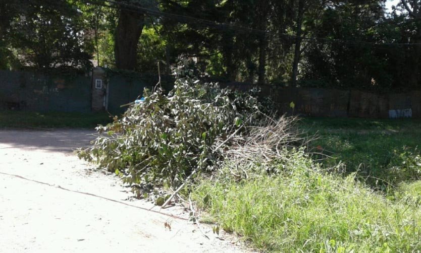 Piden recolección de ramas en un barrio de Del Viso