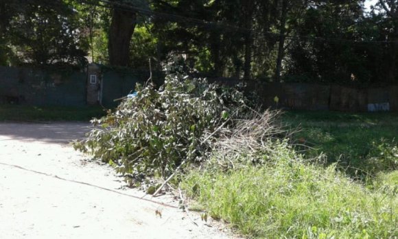 Piden recolección de ramas en un barrio de Del Viso