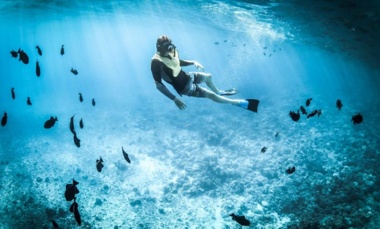 Por qué Dive Center es referente en formación acuática en Argentina