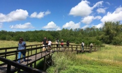La Reserva Natural de Pilar organiza una jornada sobre plantas nativas y mariposas