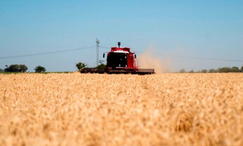 Argentina acordó con China la exportación de trigo, lana y menudencias bovinas