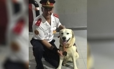 Misión cumplida: se retiró Ringo, el perro rescatista de Bomberos de Pilar
