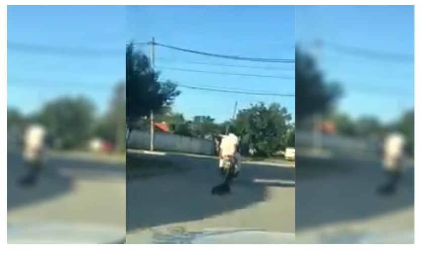 VIDEO - Maltrato animal: arrastraron a un perro desde una moto atado a una cuerda