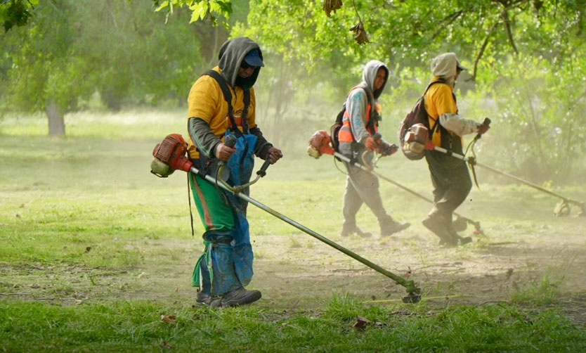 Casos de dengue en aumento: ya hay 13 municipios con brotes declarados