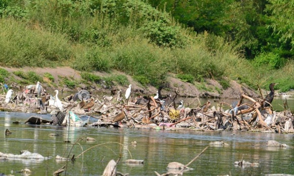 La Reserva Natural reflexiona sobre la contaminación por plásticos