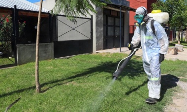 Dengue: desciende el ritmo de contagios en Pilar y en la Provincia