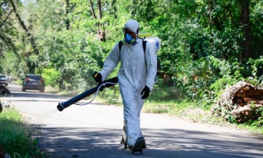 Dengue: el Gobierno Nacional empezará a vacunar en zonas endémicas del país