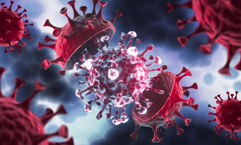 Covid-19: Detectan casos en el país de la nueva variante “Frankenstein”